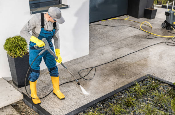 Best Deck Cleaning Services  in Farmland, IN