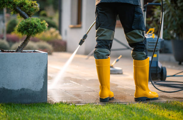 Best Sidewalk Pressure Washing  in Farmland, IN